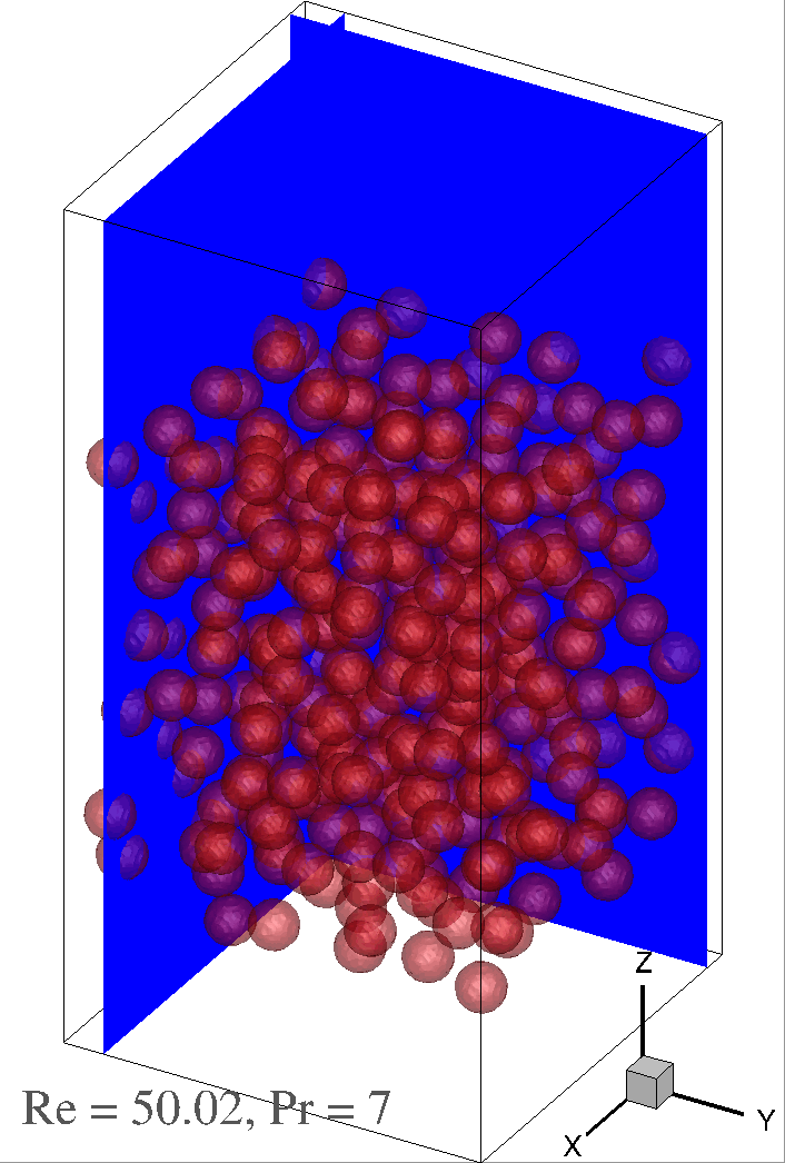 Heat transfer in a fluidized bed of particles